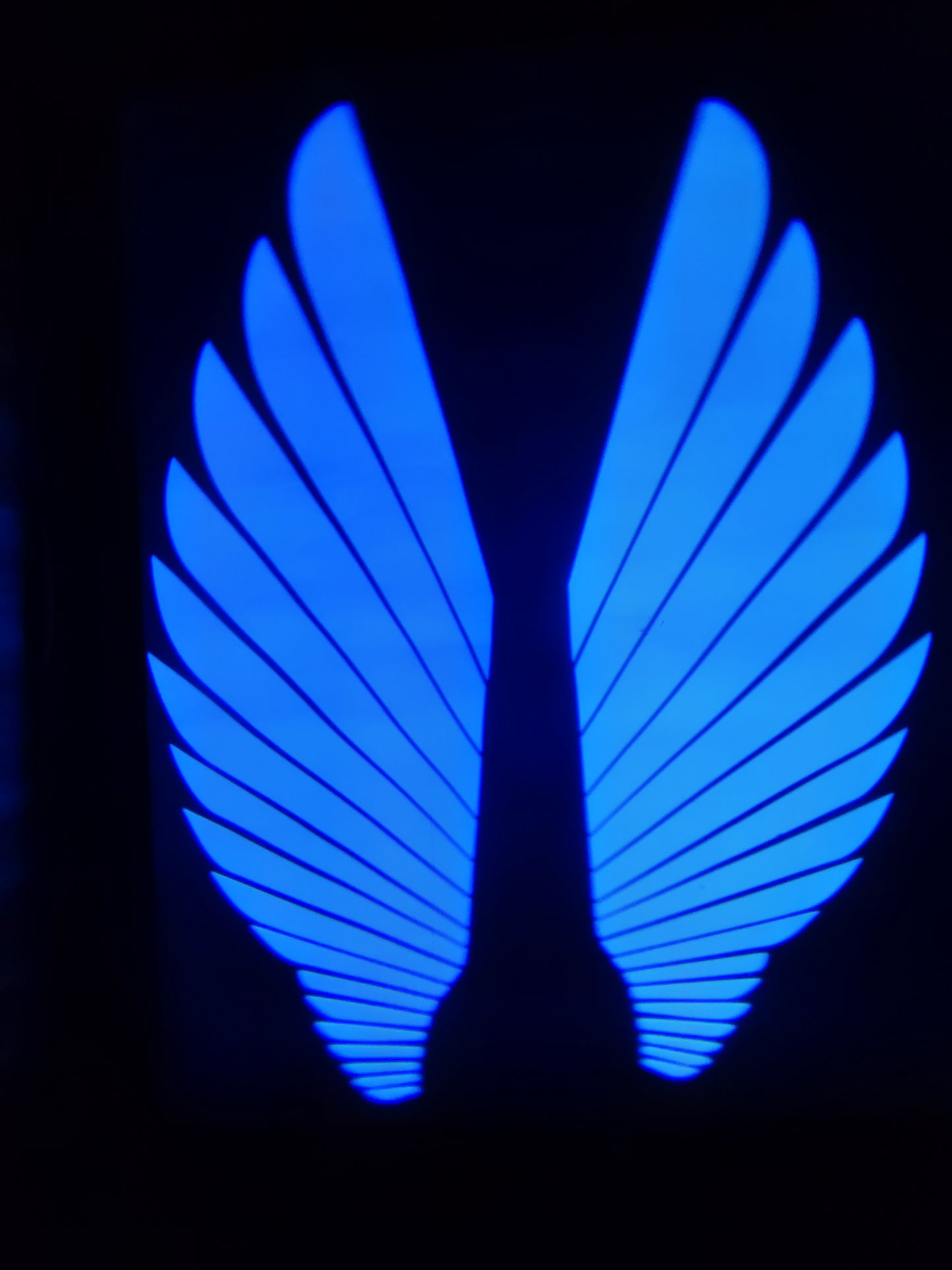 Angel Wings LED Light for Bikes & Cars – High-Quality Decorative Auto Floor Display Lights in Red, Blue & White