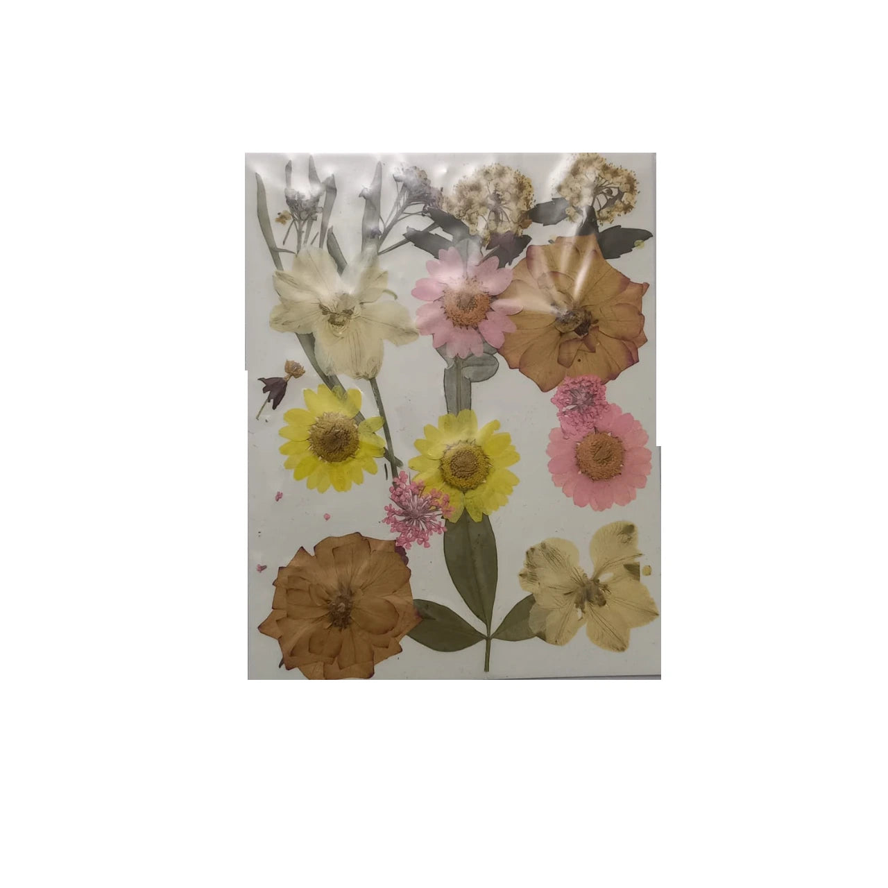 Dried Pressed Flowers for Resin & DIY Crafts - Bulk Dry Leaves for Scrapbooking