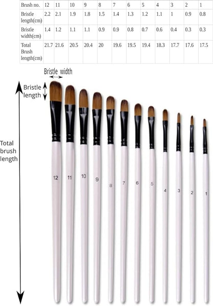 Pack Of 12 Filbert Artist Paint Brushes