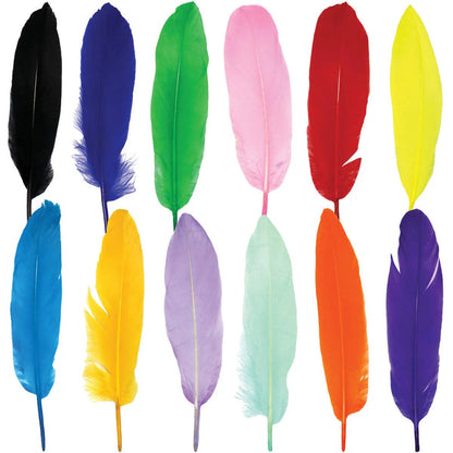 Colorful Feathers for DIY Craft - Pack of 12