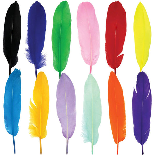 Colorful Feathers for DIY Craft - Pack of 12