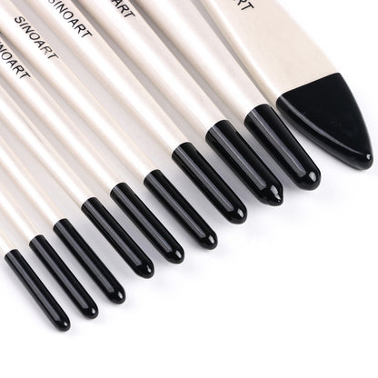 Pack of 10 High-Quality Artist Brushes for Painting, Designing, and Detailing - Angular, Flat Tip, Detail Liner, Round Tip, Gesso And Nylon Brushes